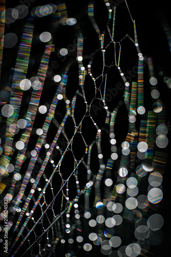 Abstract spiderweb with rainbow diffraction and glowing bokeh lights on black background