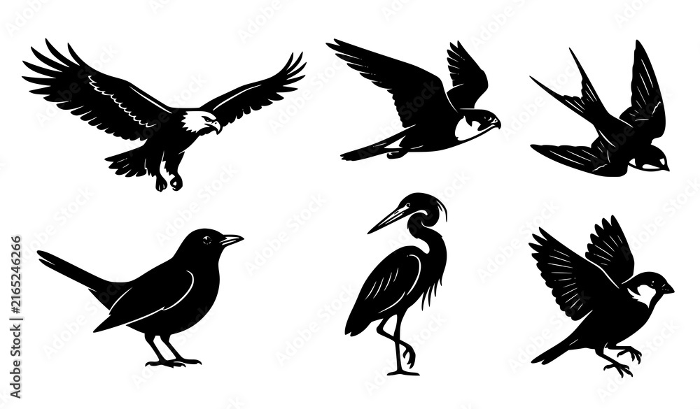Fototapeta premium Six Black Bird Silhouettes in Flying and Standing Poses Vector Collection