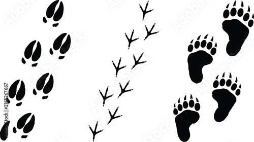 Black animal footprints of bear deer and bird on ground