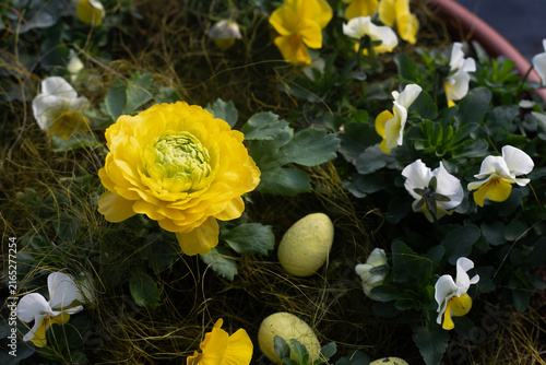 yellow spring flowers