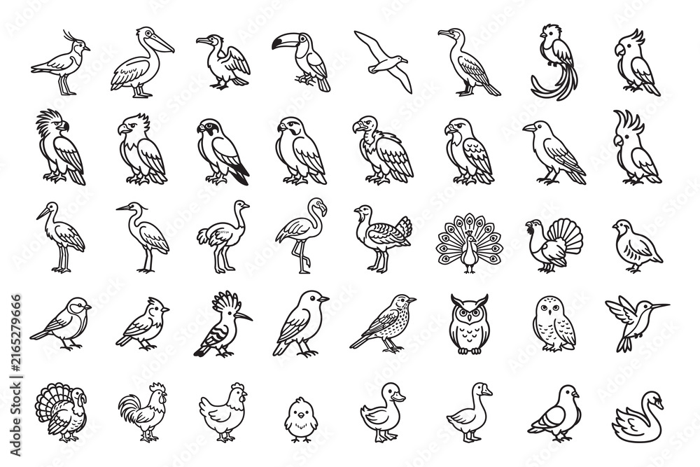 Naklejka premium Set of various wild and domestic birds line icons vector illustration