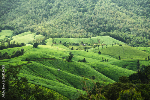 Scenic green mountain slopes covered with agricultural fields and lush forest landscape