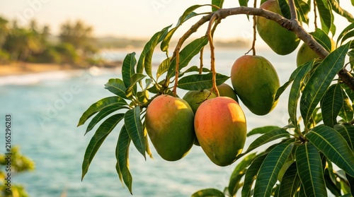 Ripe mangoes hanging on leafy branch overlooking coastal shoreline with turquoise water and blurred tropical background. tropical fruit harvest scene highlighting fresh produce