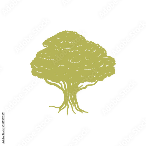 Banyan Tree Life Root Botanical Graphic Silhouette For Environment Conservation Organic Agriculture Website Banner