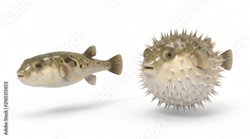 Pufferfish inflation defense mechanism 3D illustration