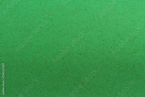 green  paper background texture light rough textured spotted blank copy space background in green