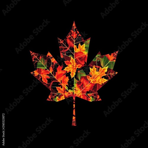 Maple leaf design made from financial data trends, graphic, design