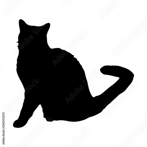 Cat Silhouette Icon