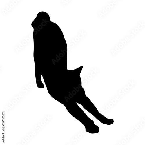 Cat Silhouette Icon