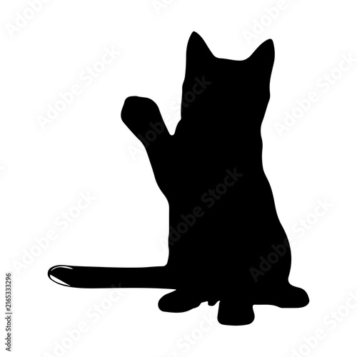 Cat Silhouette Icon