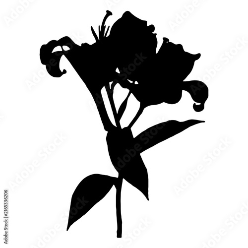 Flower Silhouette Icon