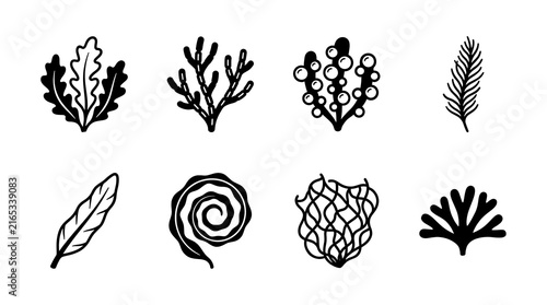Botanical and marine life line art icons.