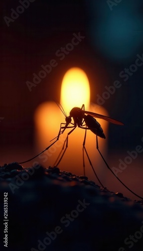 Silhouetted mosquito against radiant candlelight at night , shadow, glow