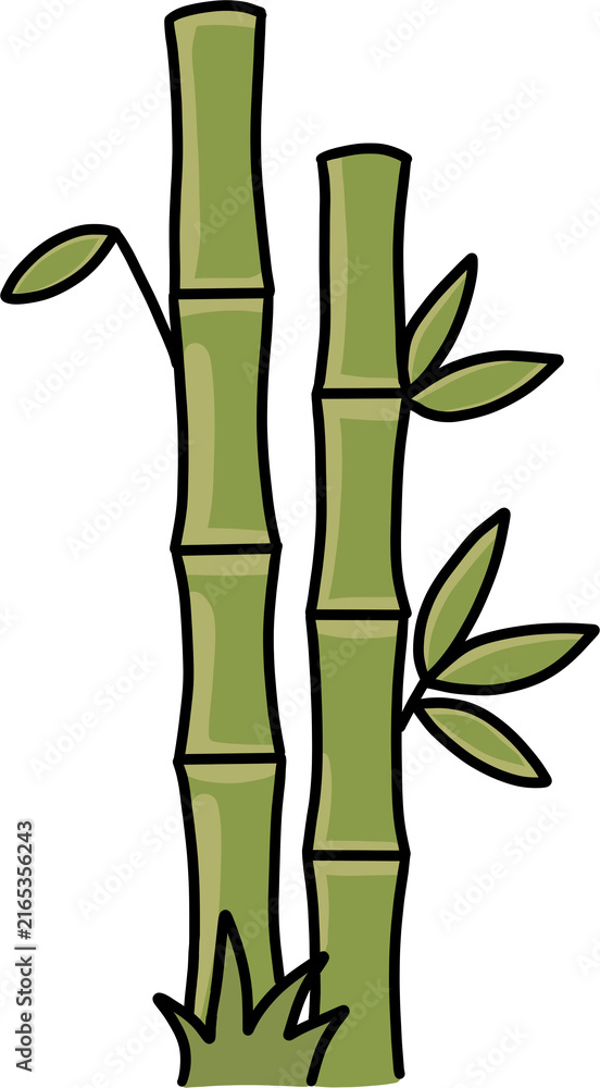 Fototapeta premium Green bamboo stalks with fresh leaves oriental nature illustration isolated on white background