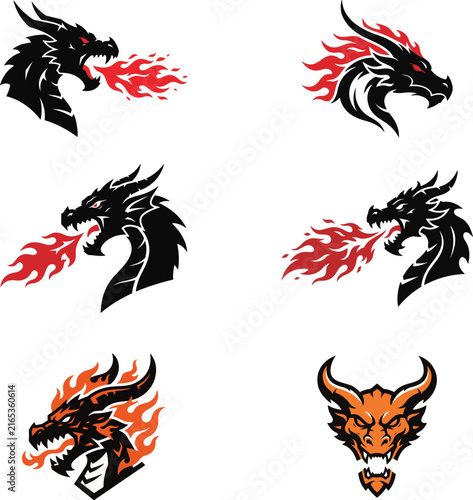 dragon and fire
