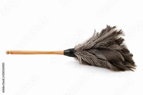 Wooden Handle Feather Duster Isolated on White