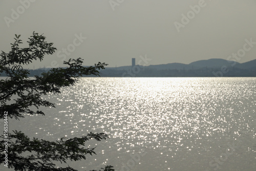 Fotografía Sunlight sparkles across a tranquil lake, framed by silhouetted tree branches, w