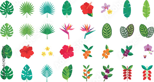Collection of hand painted watercolor tropical leaves and exotic flowers isolated on a white background