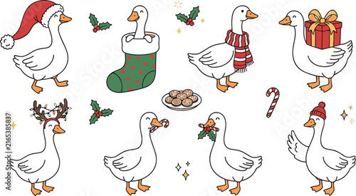 Set of cute hand drawn geese characters celebrating christmas with festive accessories and holiday themed elements