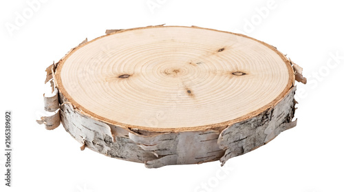 Obraz na płótnie Natural birch wood cross-section featuring its distinctive bark and visible annual growth rings