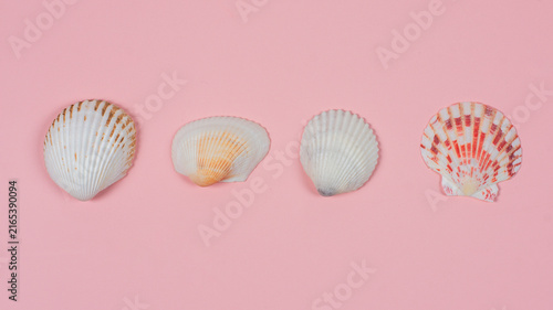 Canvastavla Summer time concept with sea shells or starfish on pink background with copy space for text