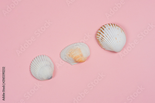 Konstfotografi Summer time concept with sea shells or starfish on pink background with copy space for text