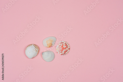 Summer time concept with sea shells or starfish on pink background with copy space for text.