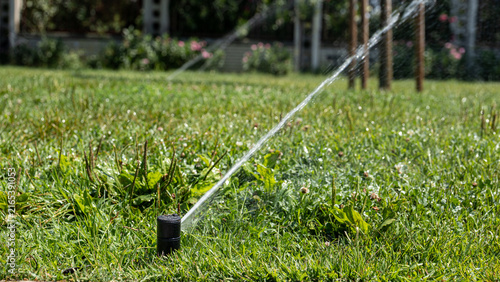 Фотография Lawn sprinkler waters dry urban park grass during a period of extreme summer hea
