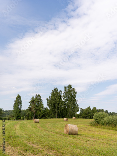 Round hay bales across a freshly cut rural field beneath a broad cloudy summer sky with generous copy space.