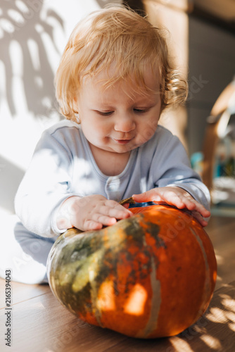 Curious baby touching and trying to bite a large orange pumpkin while playing on the floor at home. Funny autumn lifestyle moment, sensory exploration and seasonal fall activities.