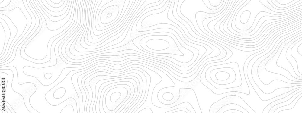 Obraz premium Abstract topographic map lines contour background pattern in white and grey colors with elevation lines