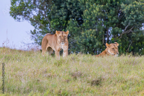 Photography Afrika