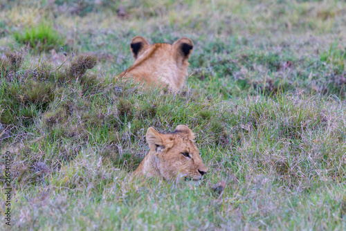 Photography Afrika