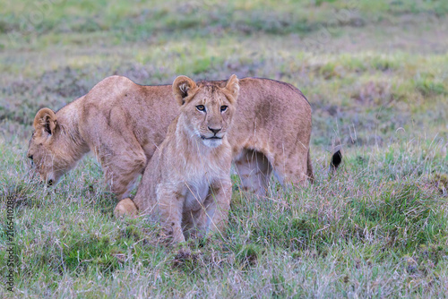 Photography Afrika