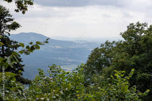 Photography Mountain valley viewed through green forest under cloudy summer sky, with distan