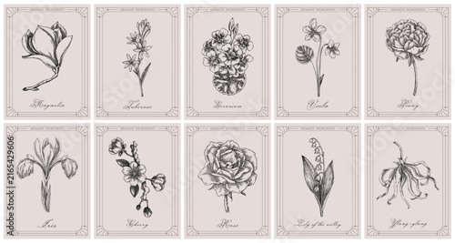 Perfumery labels set. Aromatic plants and raw beauty ingredient sketches. Art Nouveau, Art Deco, retro-style card designs. NOT AI generated