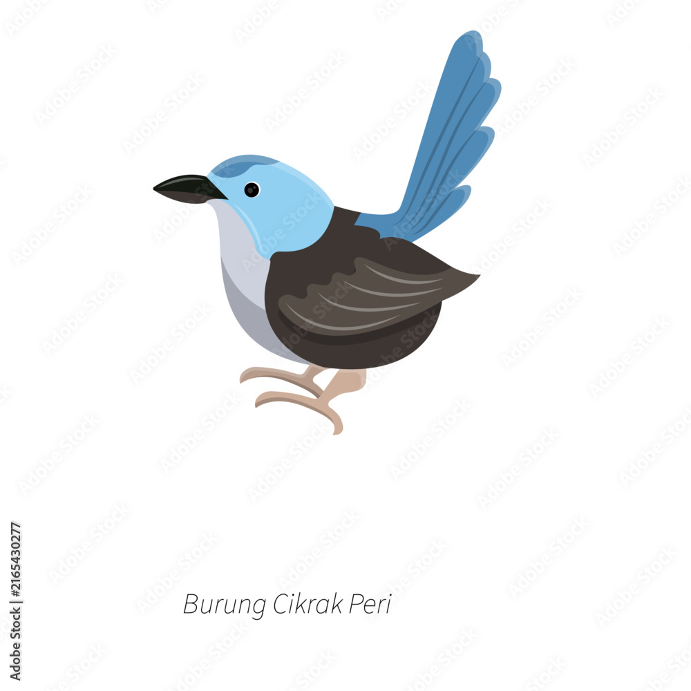 Fototapeta premium Blue Grey Bird