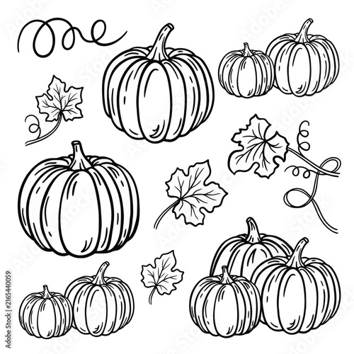 Black and White Hand Drawn Pumpkin Collection with Autumn Leaves and Curls