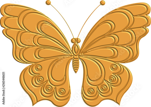 butterfly vector illustration