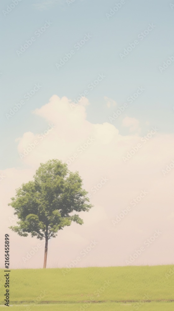 Naklejka premium Esthetic park landscape wallpaper grassland outdoors nature.