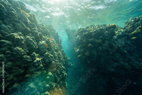 Foto Sunlight Rays Penetrating Underwater Coral Reef