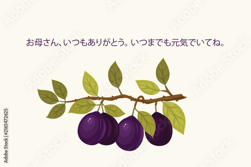 Ripe Purple Plums on Leafy Branch, Japanese Mother’s Day Card with Message “Mom, Thank You for Everything. Please Stay Healthy Forever”