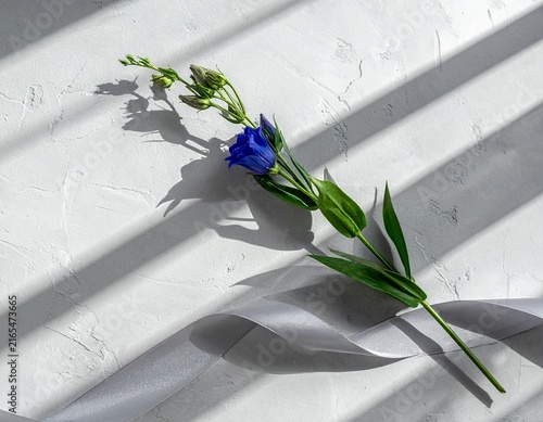 コンクリート背景の上に置かれたラッピングされた1本の竜胆の花束