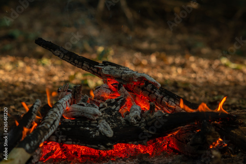 Canvastavla Smoldering wood branches and glowing embers on the ground