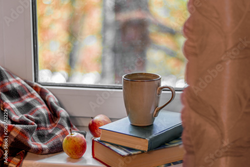 Obraz na plátně Cozy spot by window with an autumn scene to relax with book, plaid blanket, and cup of hot cocoa