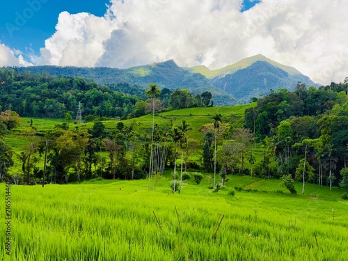 Lush Green Rice Terraces and Mountains Under Blue Sky with Clouds