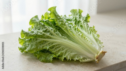A bunch of fresh green lettuce leaves placed on a light-colored countertop.