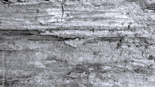 Foto Monochrome close-up of vertically ridged tree bark with deep grooves, rough fibers, cracks, and weathered natural texture