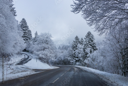 Snow-covered road winding through a peaceful winter forest in Auvergne, France, evoking a scenic road trip, mountain escape, outdoor adventure and winter travel.