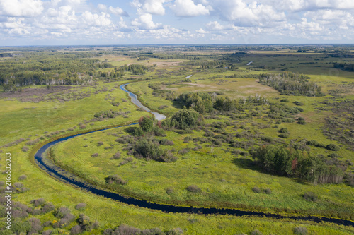 Konstfotografi Aerial view of the Kargat River in summer, forests, swamps and boundless expanse